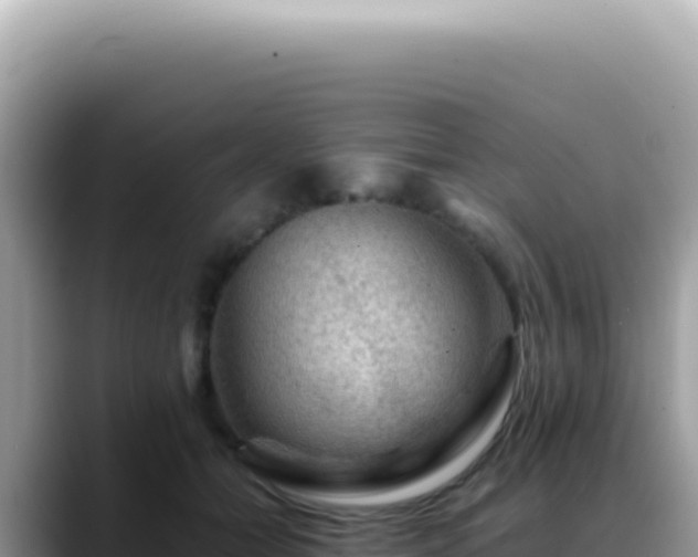X0000088740558200706071702