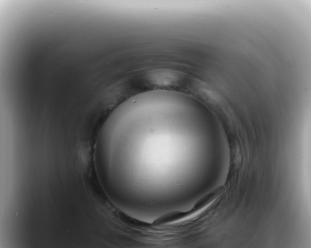 X0000088740559200706071702