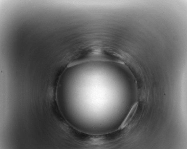 X0000088740560200706071702