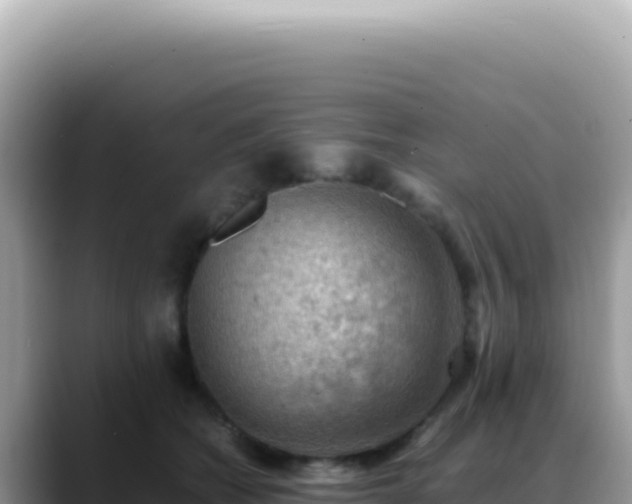 X0000088740562200706071702