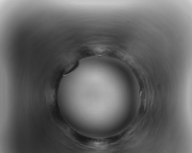 X0000088740563200706071702