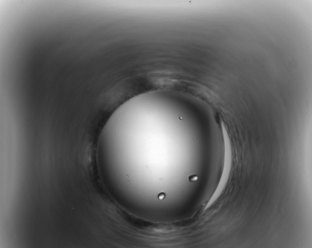 X0000088740567200706071702
