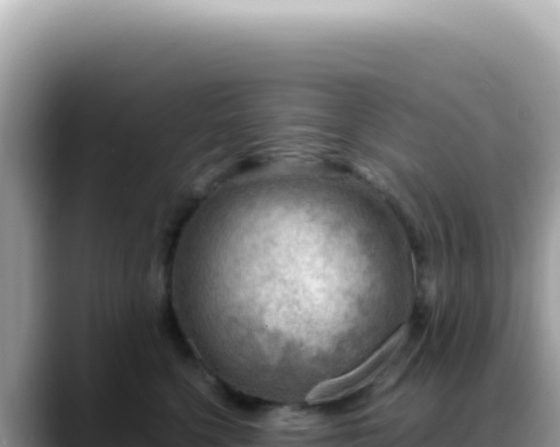 X0000088740568200706071702