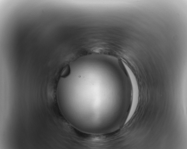 X0000088740569200706071702