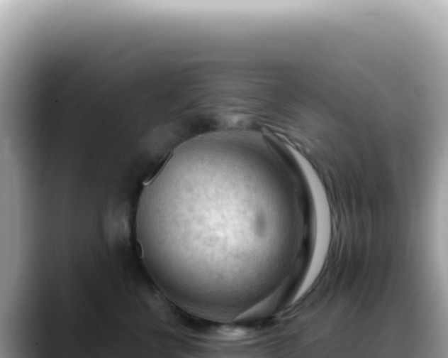 X0000088740570200706071702