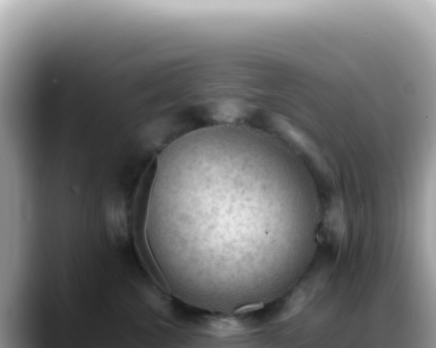 X0000088740572200706071702