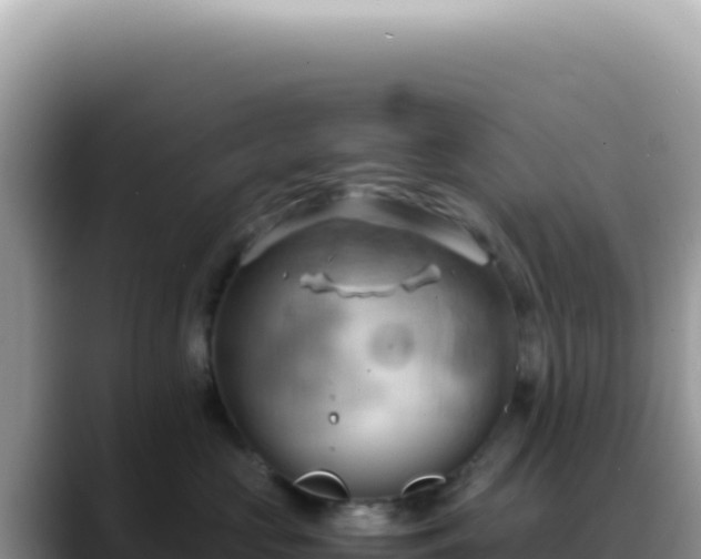 X0000088740573200706071702