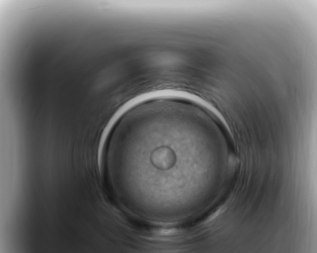 X0000088740575200706071702