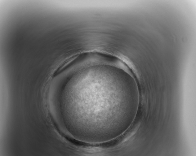 X0000088740577200706071702