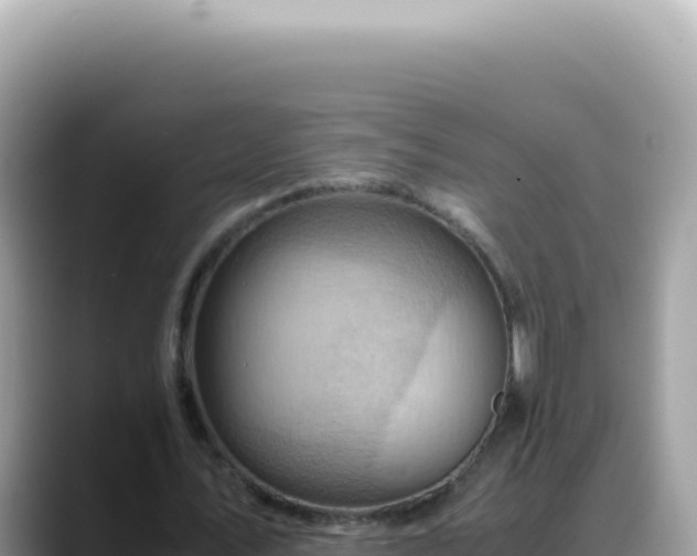 X0000088740579200706071701