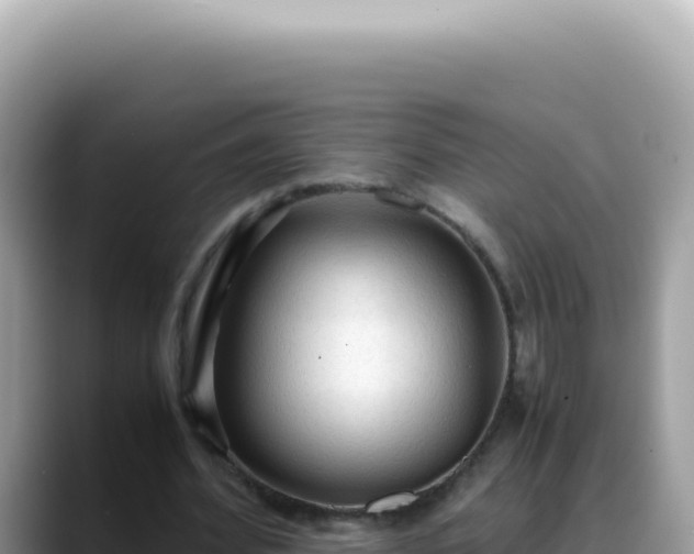 X0000088740580200706071701
