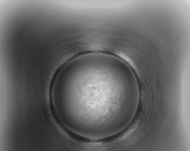 X0000088740581200706071701
