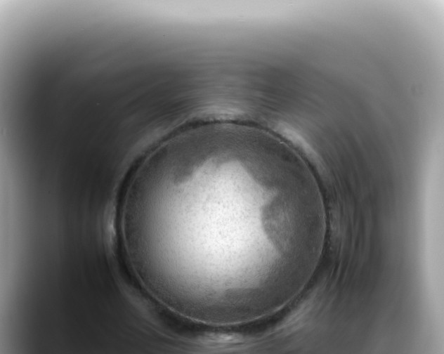X0000088740582200706071701