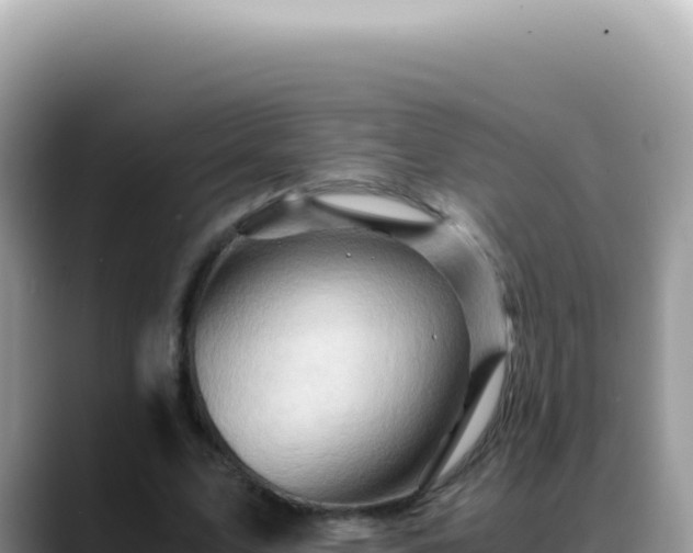 X0000088740583200706071701