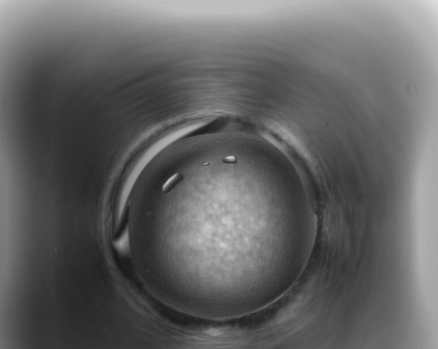X0000088740584200706071701