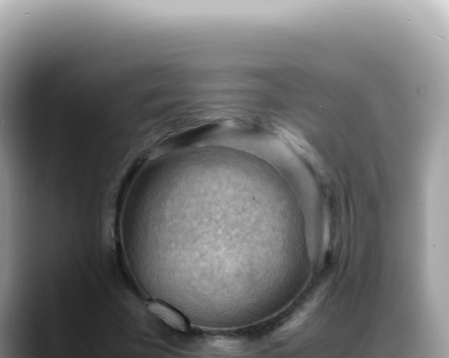 X0000088740585200706071701