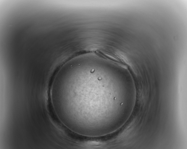 X0000088740586200706071701
