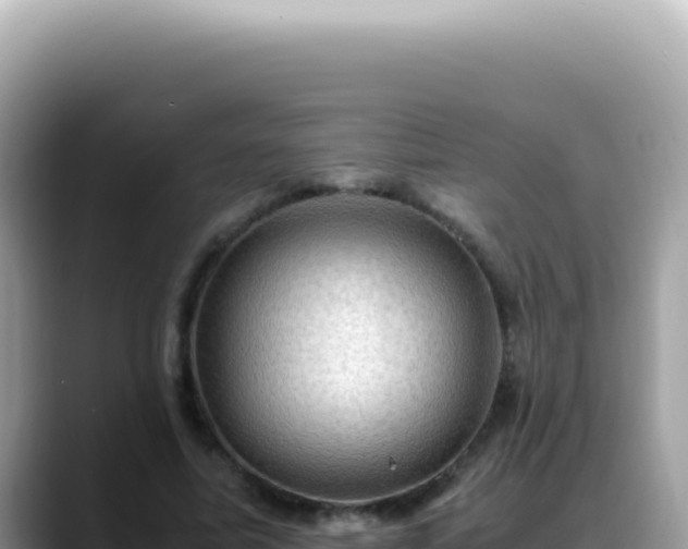 X0000088740587200706071701
