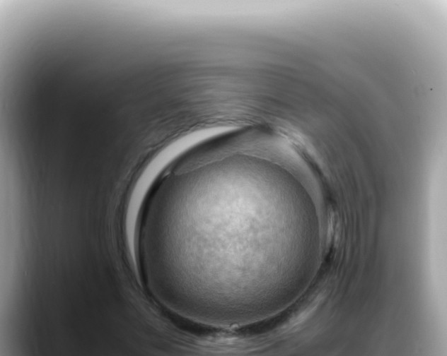 X0000088740589200706071701