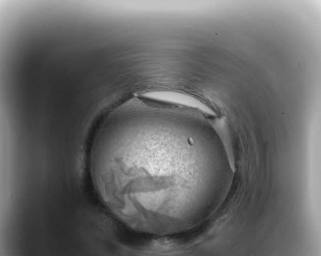 X0000088740591200706071701