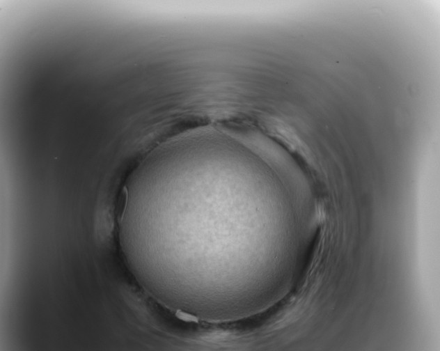 X0000088740593200706071701