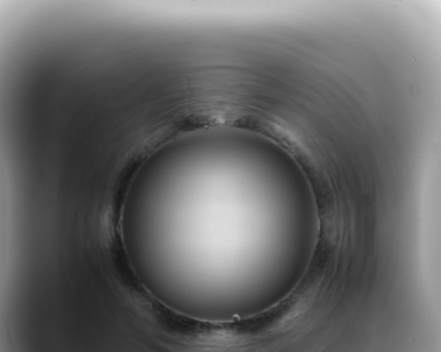X0000088740594200706071701