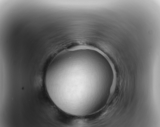 X0000088740595200706071701