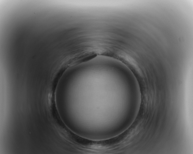 X0000088740596200706071701