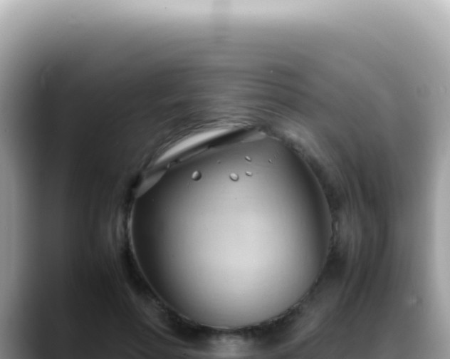 X0000088740598200706071701