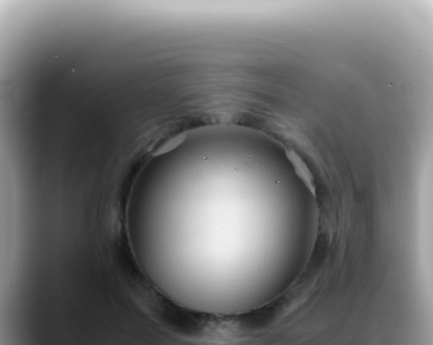 X0000088740599200706071701
