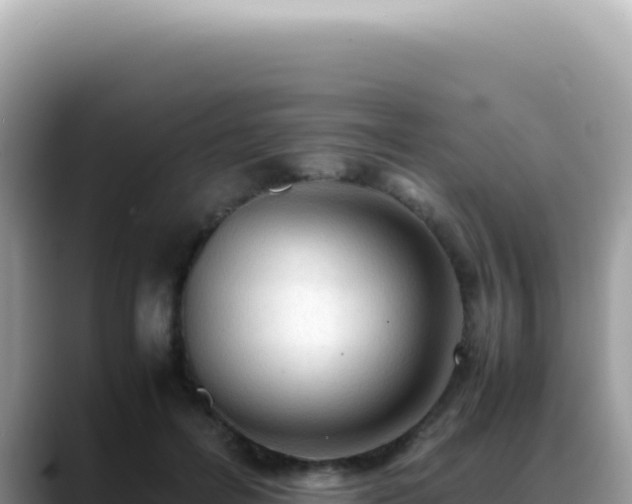 X0000088740600200706071701