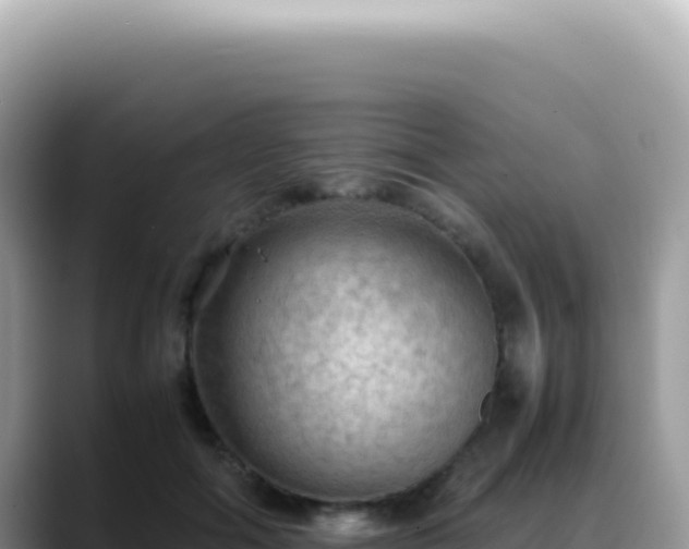 X0000088740602200706071701
