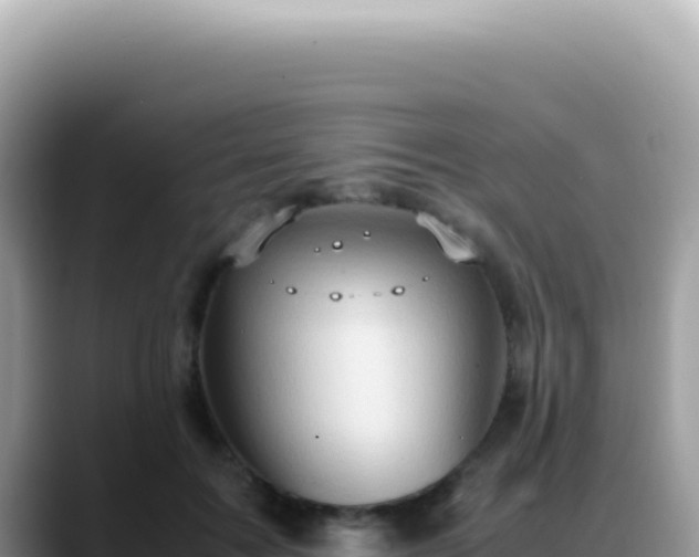 X0000088740603200706071701
