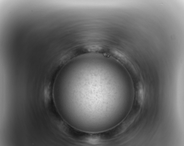 X0000088740604200706071701