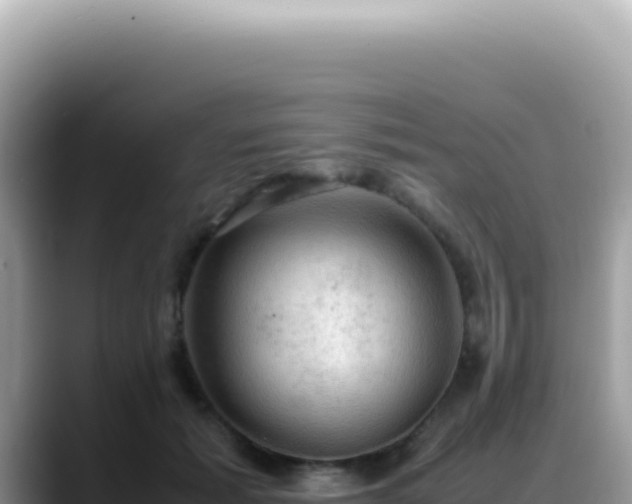 X0000088740605200706071701
