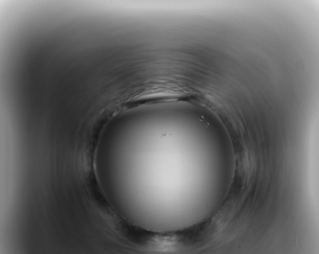 X0000088740606200706071701