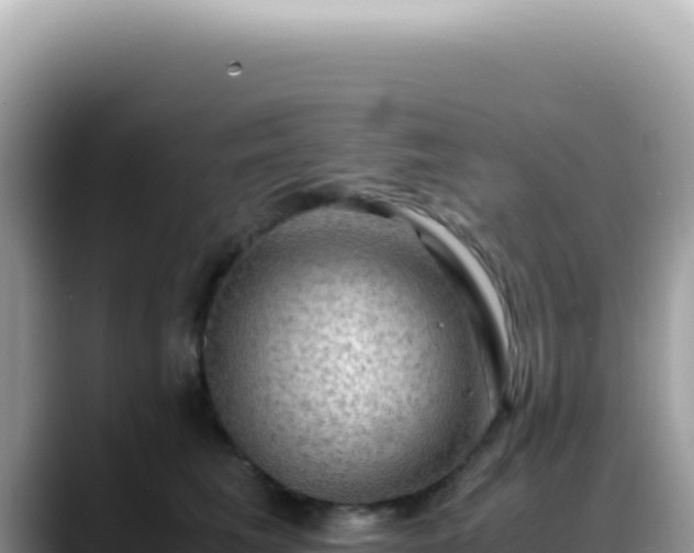 X0000088740613200706071701