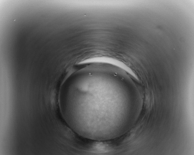 X0000088740616200706071701