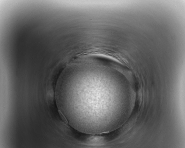 X0000088740617200706071701
