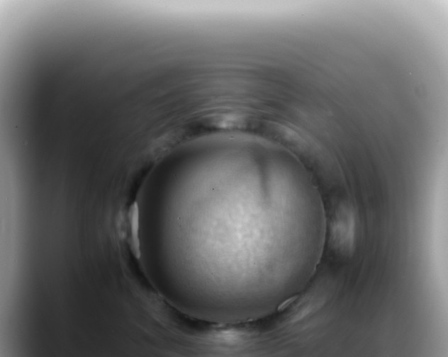 X0000088740620200706071701