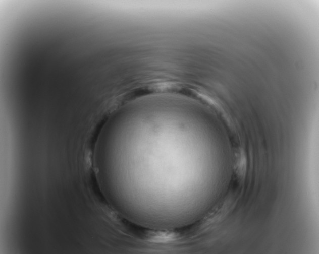 X0000088740621200706071701