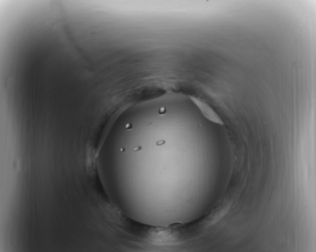 X0000088740624200706071701
