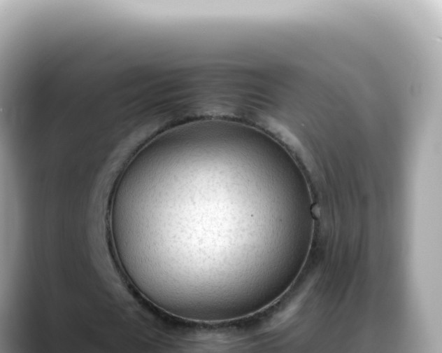 X0000088740625200706071700