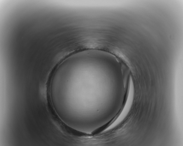X0000088740626200706071700