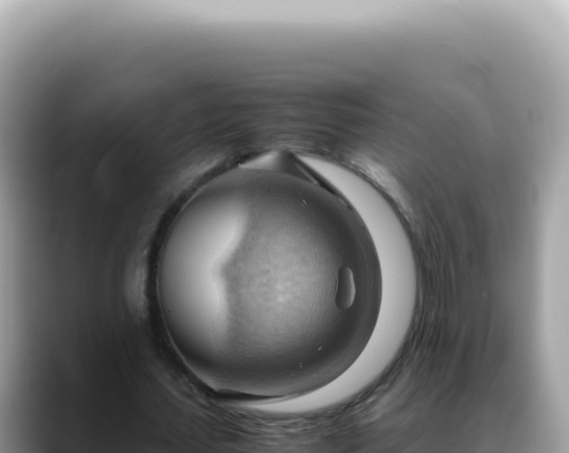 X0000088740627200706071700