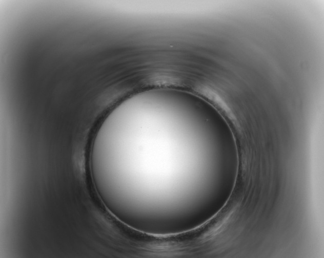 X0000088740629200706071700