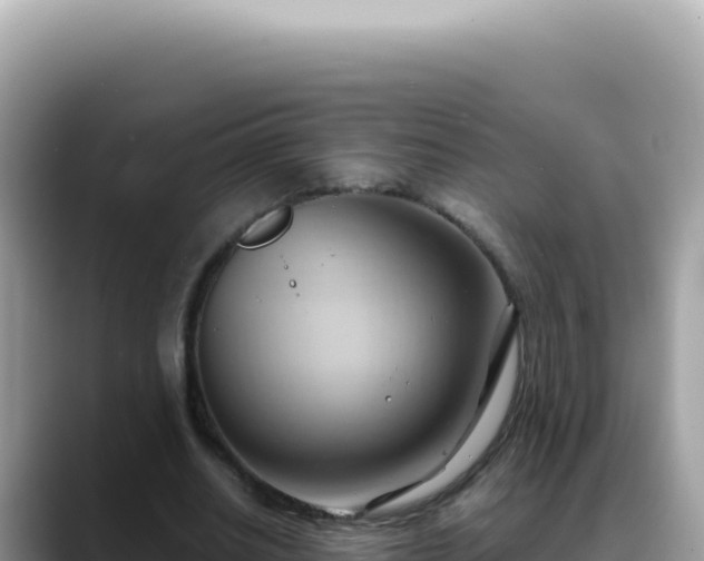 X0000088740630200706071700