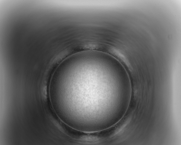 X0000088740633200706071700