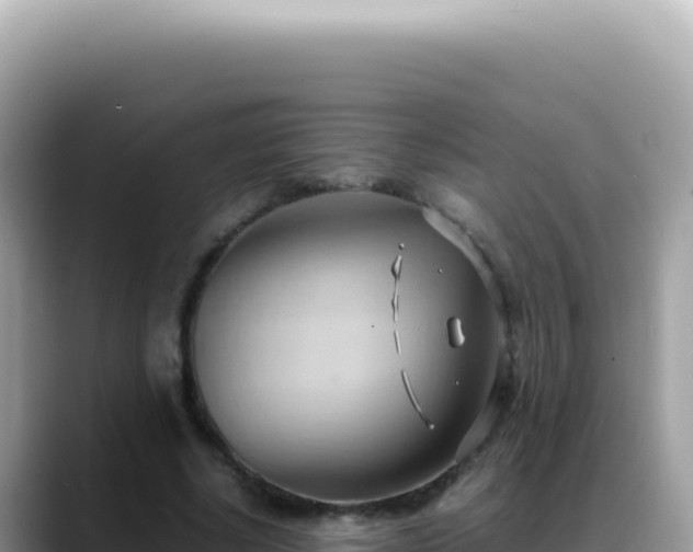 X0000088740634200706071700