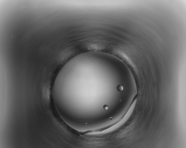 X0000088740637200706071700